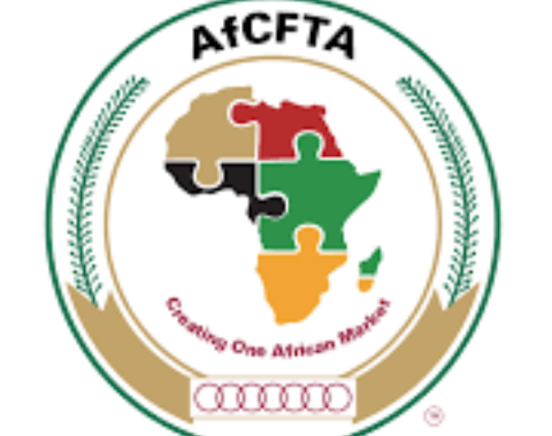 AfCFTA, UNDP, Nigeria Demand Urgent Action to Put Women at Centre of Africa’s Economic Integration – THISDAYLIVE